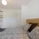Sereno Refugio En Barrio Residencial Lägenhet *